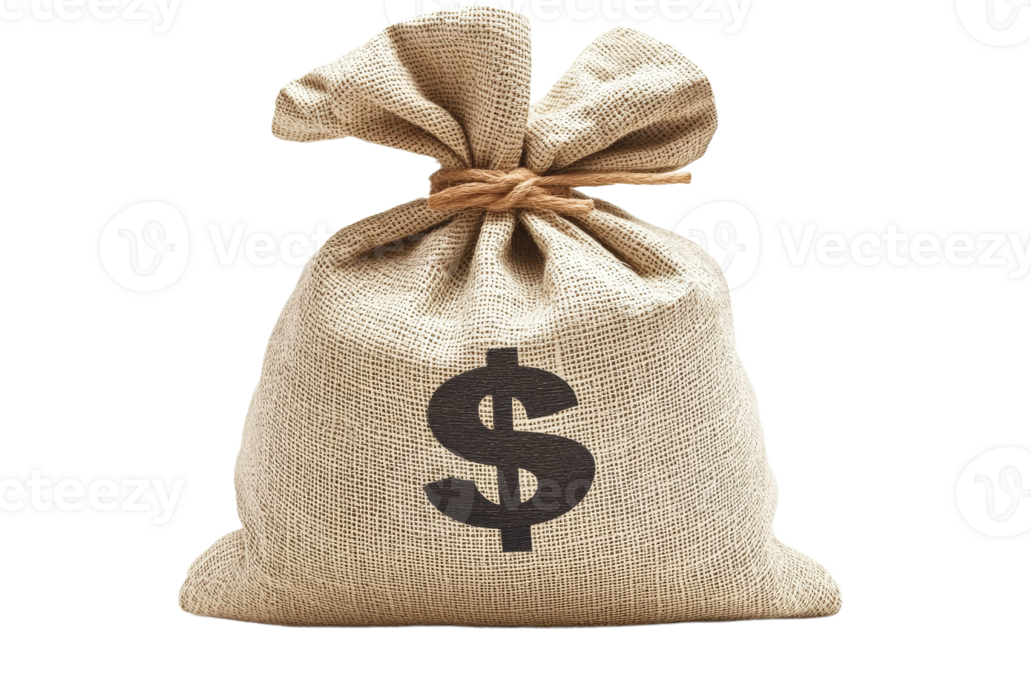 Currency bag symbolizes wealth concepts png