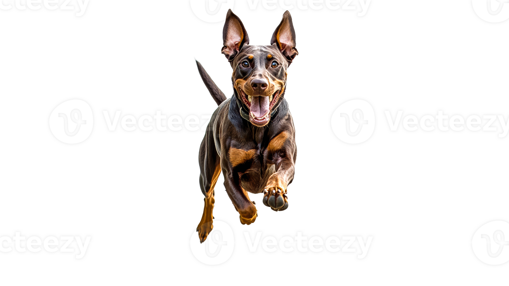 Running dog with joyful expression in motion png