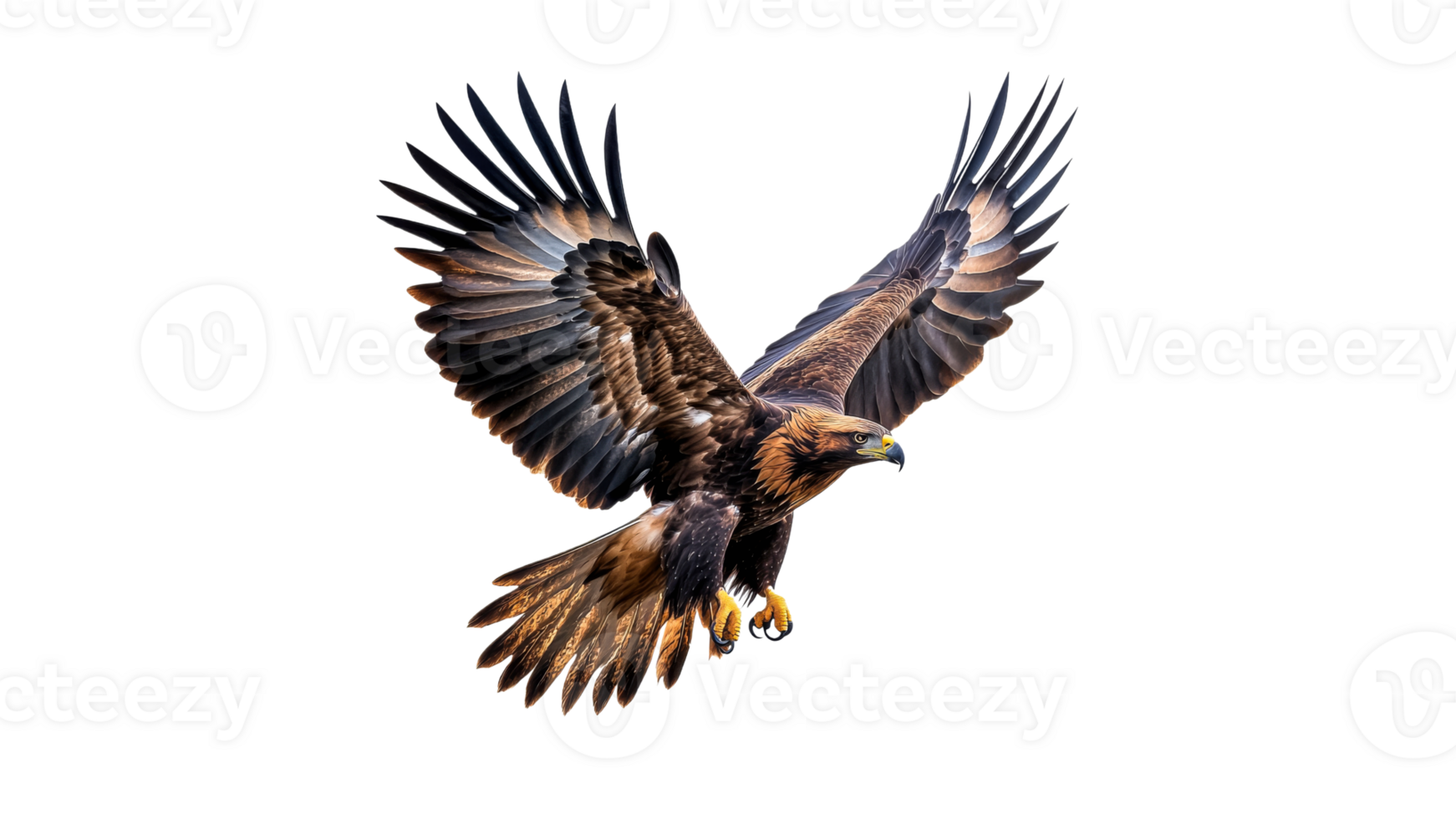 Majestic eagle soaring in clear sky png