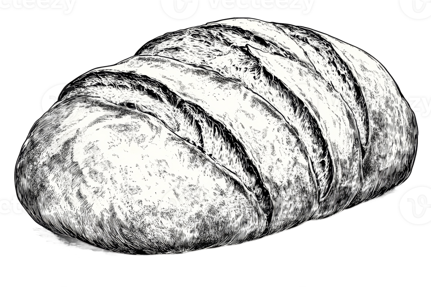 Golden crust loaf, freshly baked slices png