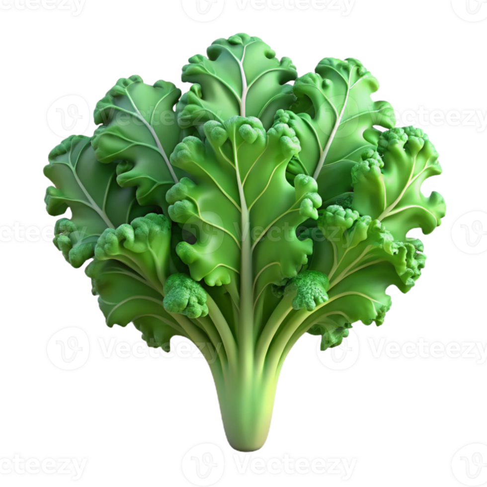 elegant creative Hydroponic Kale Curly Leaves Isolated Element premium png
