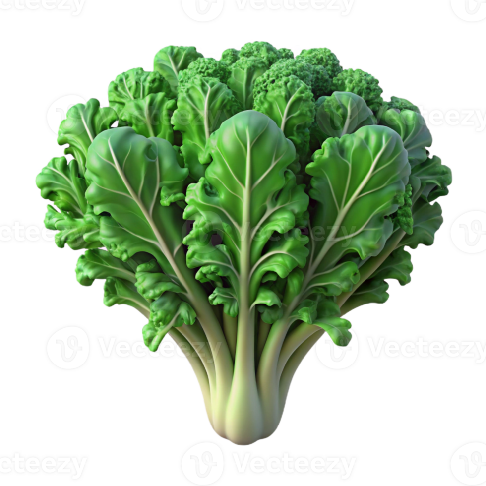 stunning minimalist Hydroponic Kale Curly Leaves Isolated Element authentic png