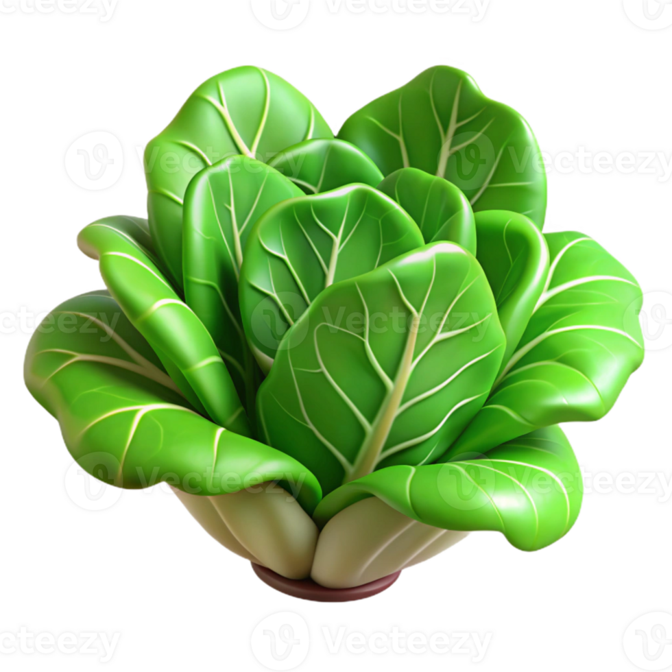 beautiful modern Hydroponic Lettuce Green Leaves Isolated Cutout high quality png