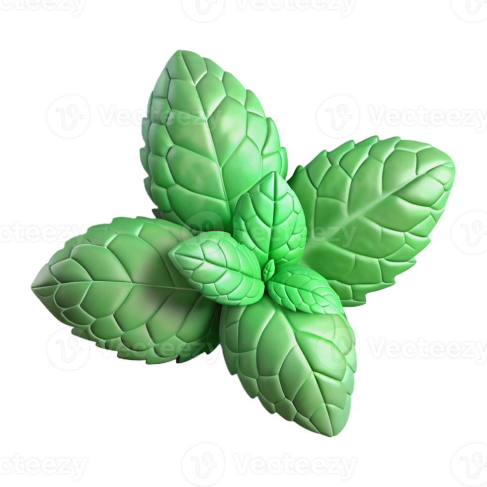 dramatic minimalist Hydroponic Mint Green Leaves Isolated Element authentic png
