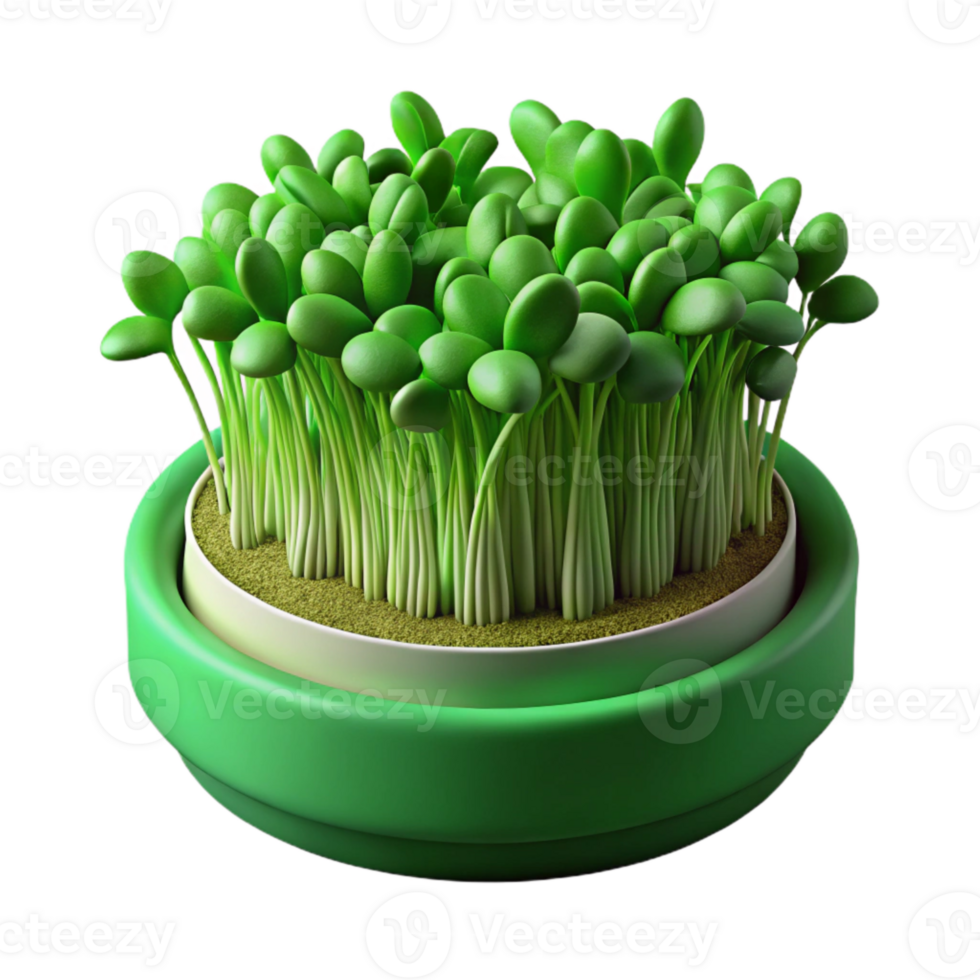 elegant traditional Hydroponic Microgreens Green Isolated genuine png