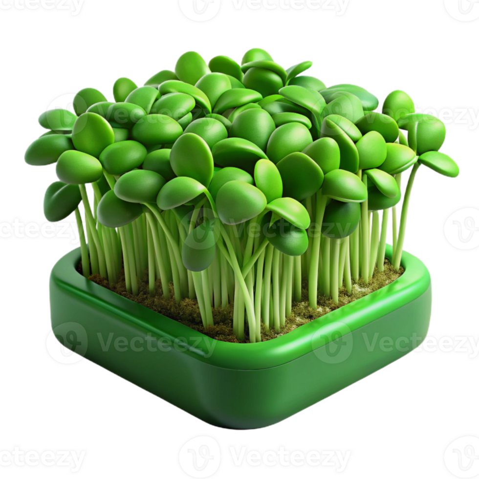 stunning artistic Hydroponic Microgreens Green Isolated high resolution png