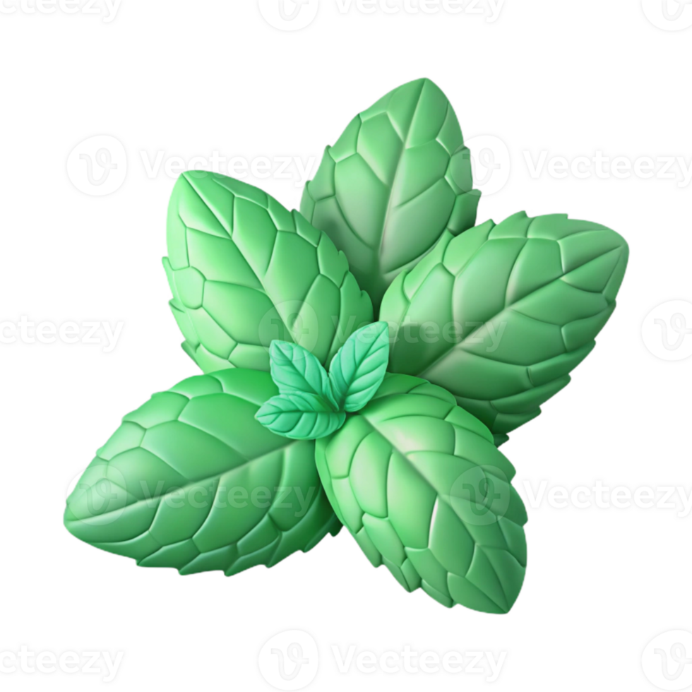 impressive abstract Hydroponic Mint Green Leaves Isolated Element authentic png