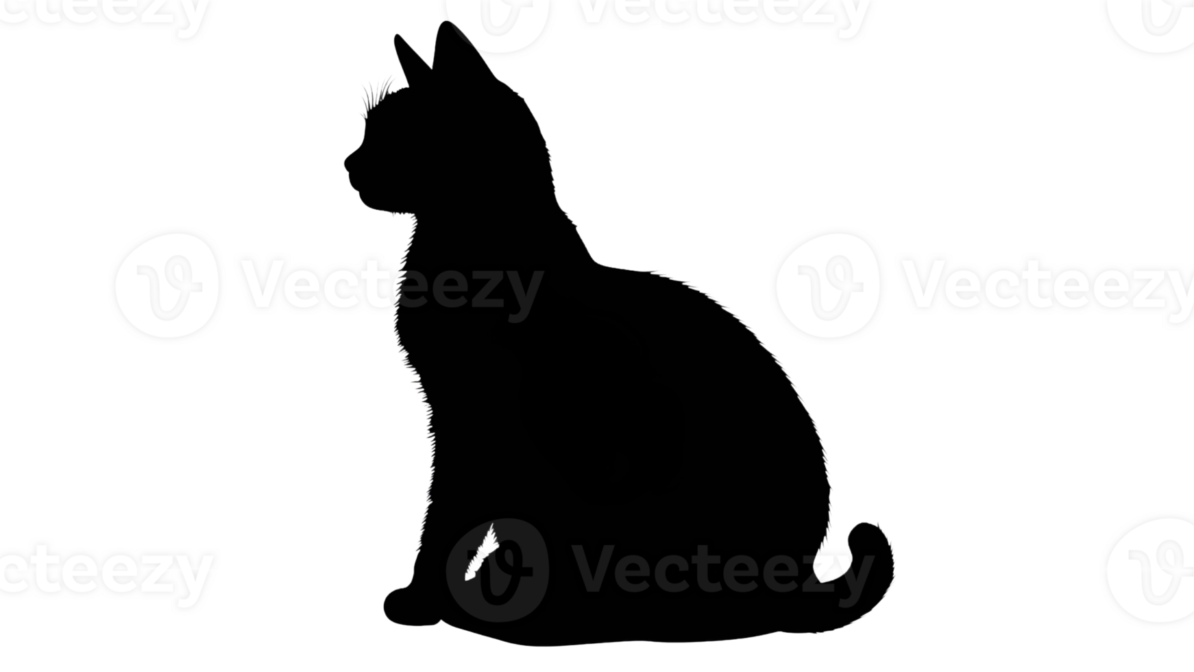 Graceful black cat silhouette sitting png
