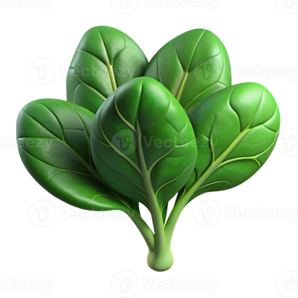 wonderful minimalist Hydroponic Spinach Dark Green Leaves Cutout Element exclusive png