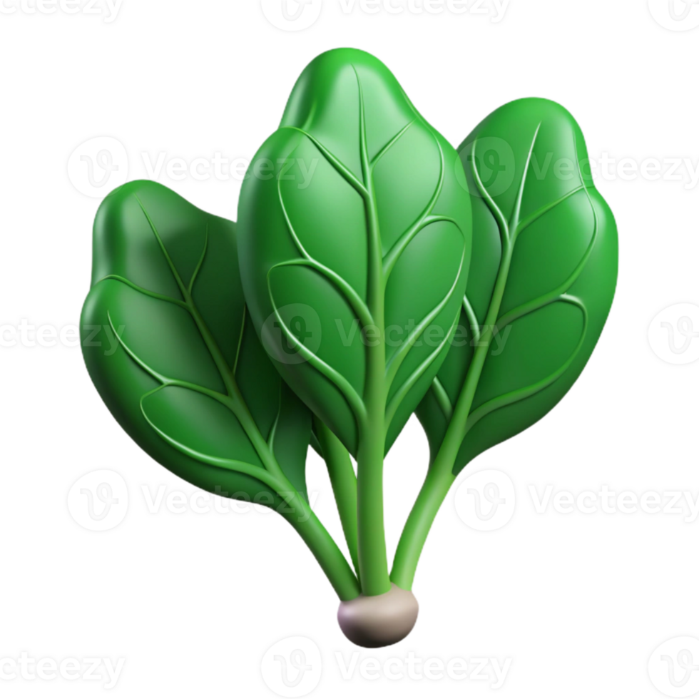 wonderful minimalist Hydroponic Spinach Dark Green Leaves Cutout Element detailed png