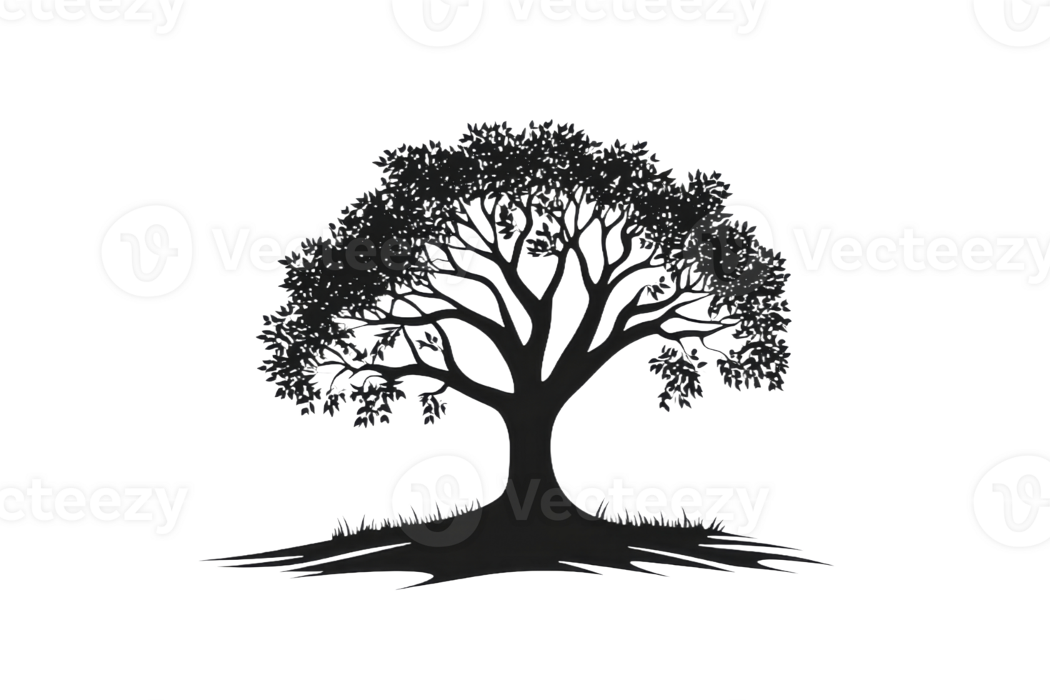 Elegant silhouette of a tree in a natural setting png