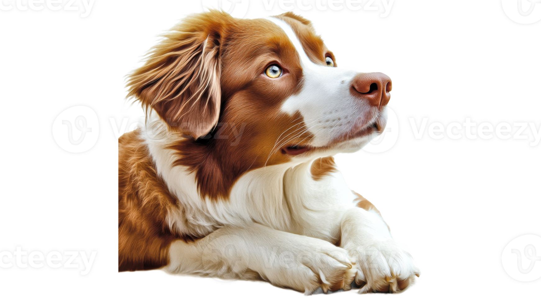 Beautiful dog resting with curious expression png