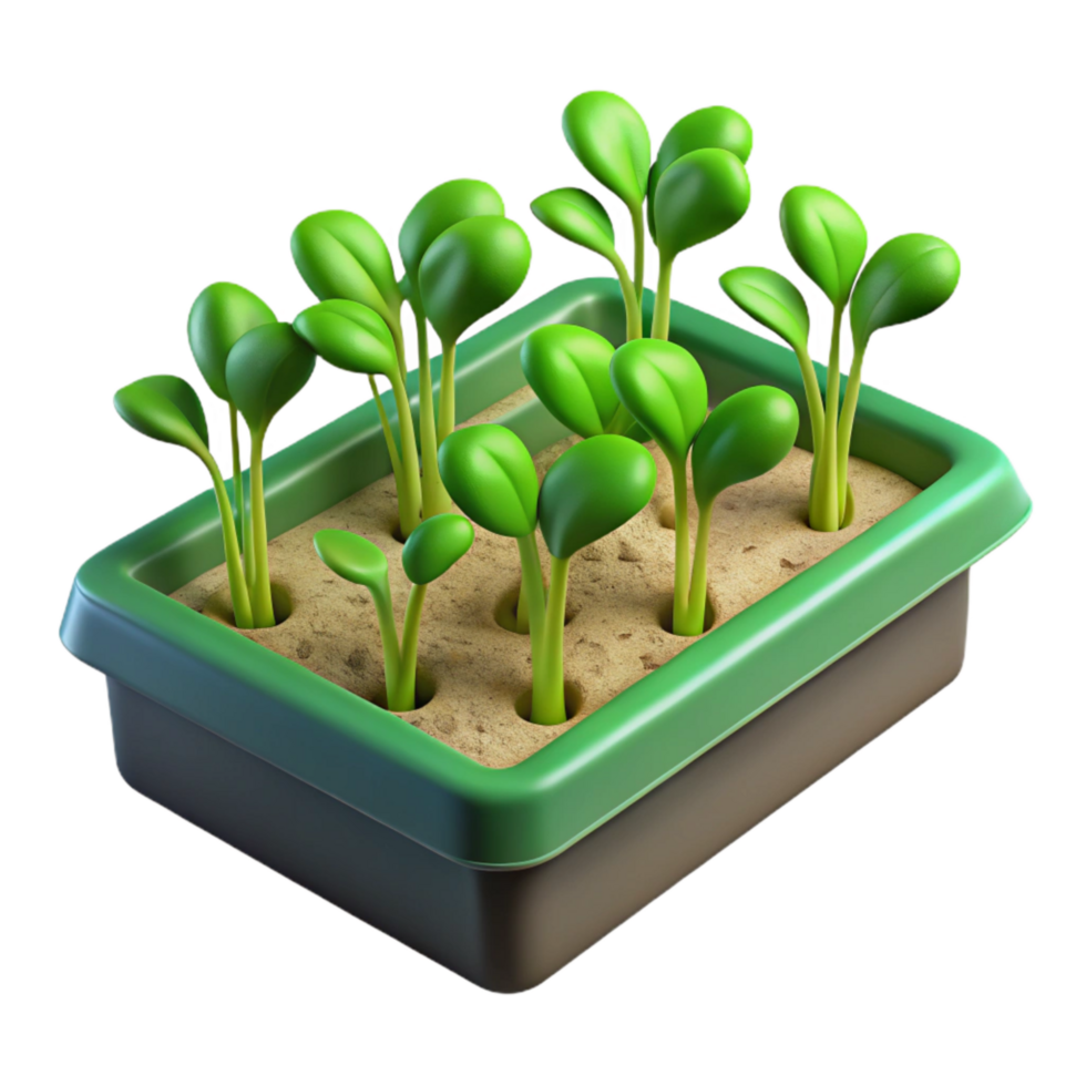 magnificent creative Hydroponic Tray Isolated with Green Sprouts professional png