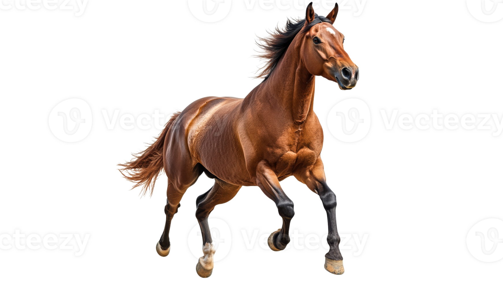 Majestic horse running freely in open space png