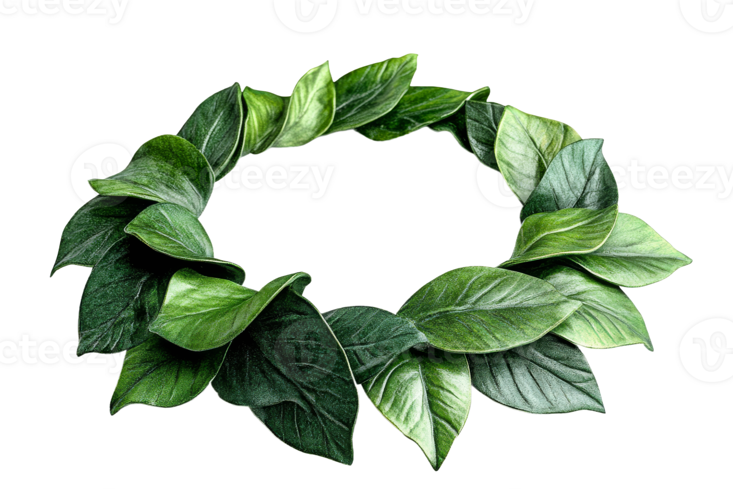Green leaf decorative wreath for home png