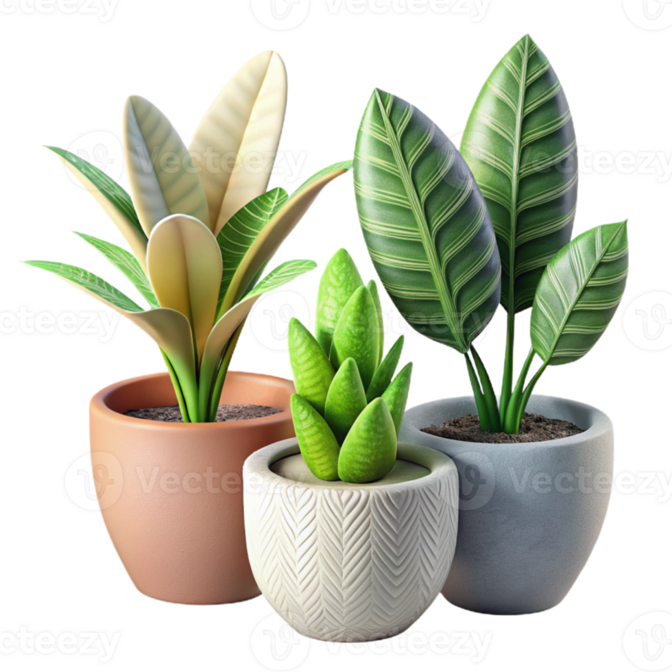 serene modern Indoor Plants Potted Various Types Transparent genuine png