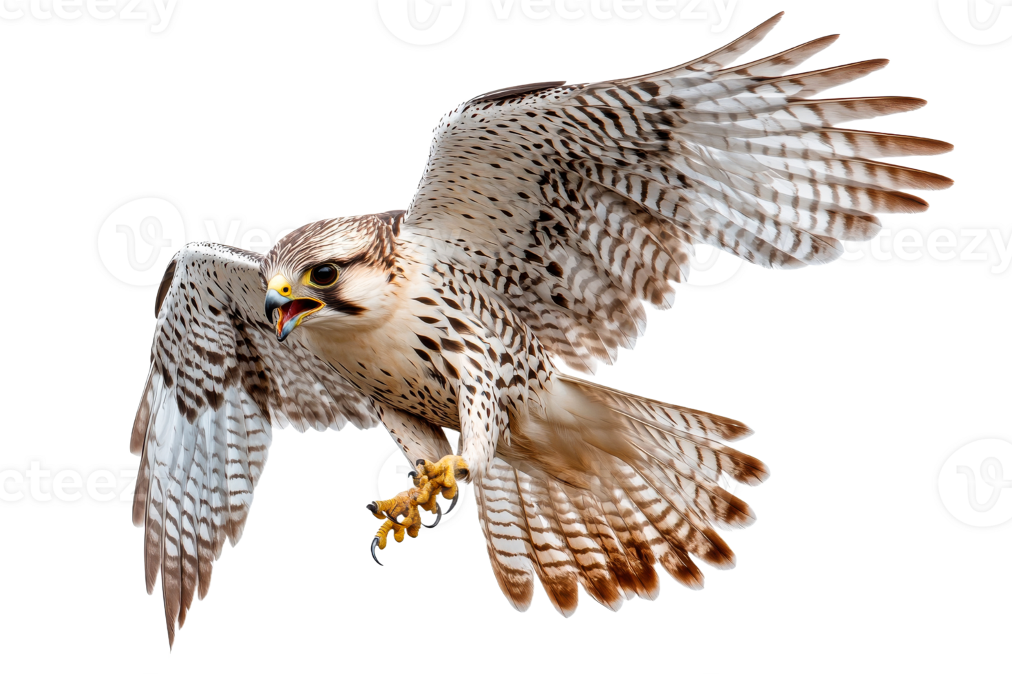 Majestic hawk in flight showcasing powerful wings png