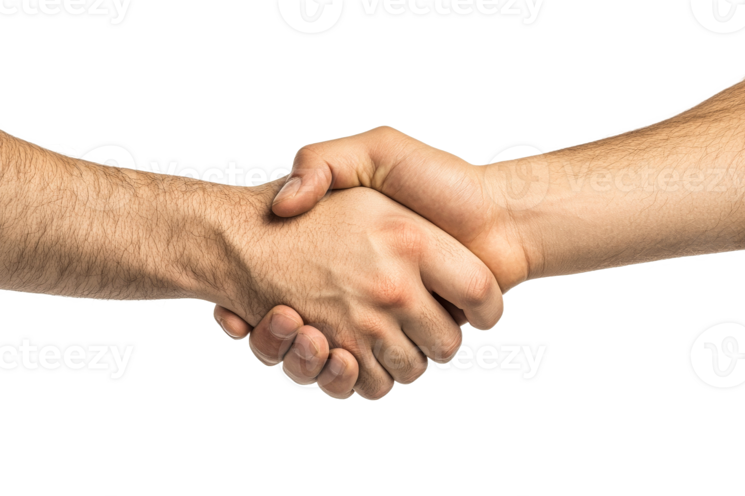 People shaking hands in a professional setting png