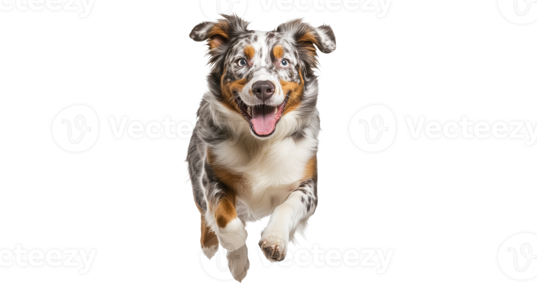 Happy dog leaping joyfully in bright setting png