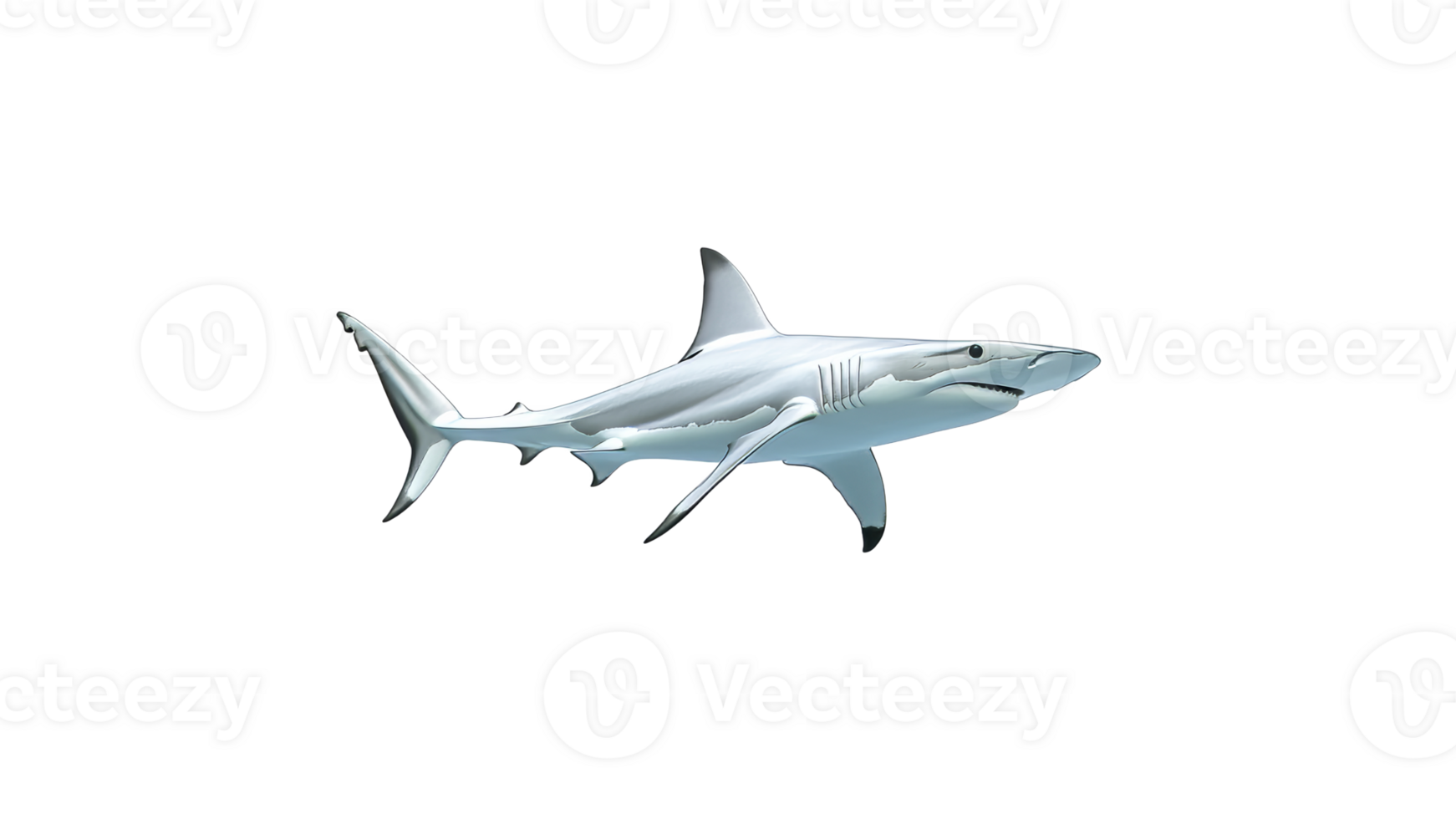Graceful shark swimming through clear waters png
