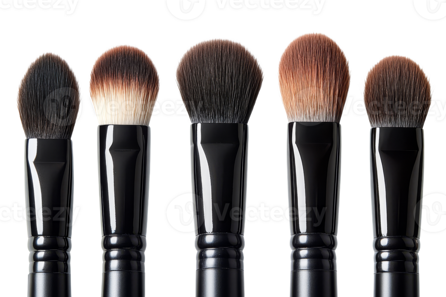 Five makeup brushes are neatly arranged in a line png