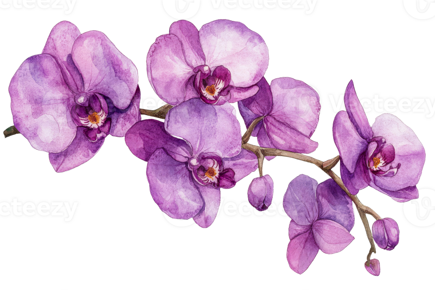 Beautiful purple orchid art display png