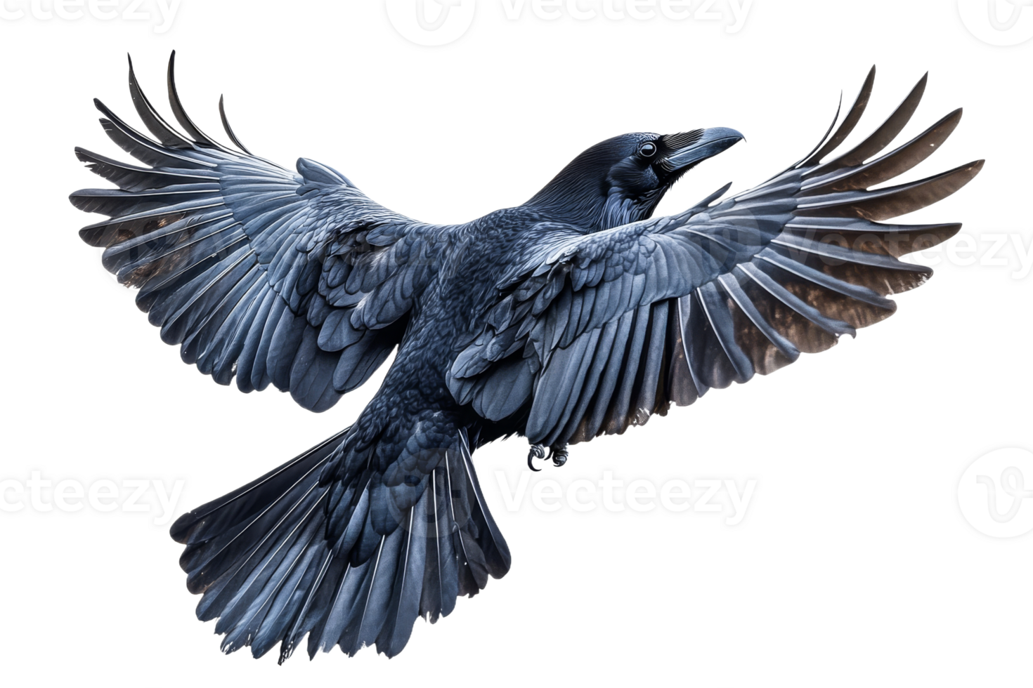 Majestic raven soaring through clear skies png
