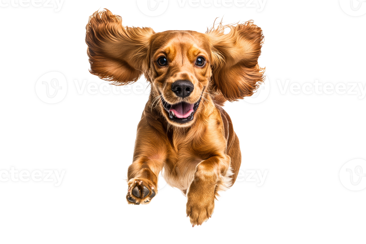 Joyful dog running on white backdrop png