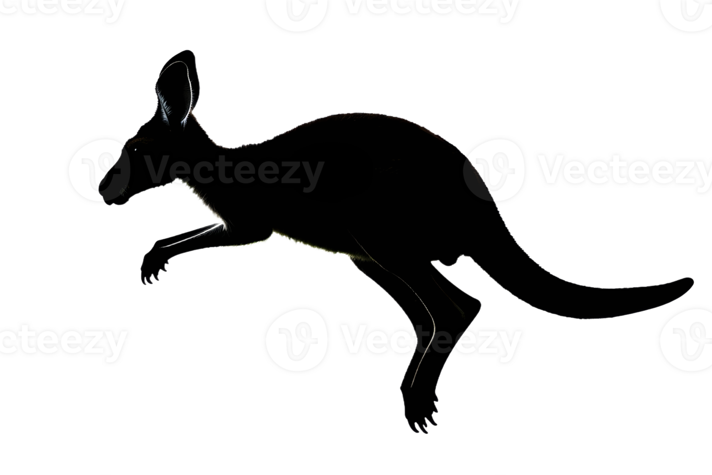 Kangaroo silhouette leaping on plain BG png