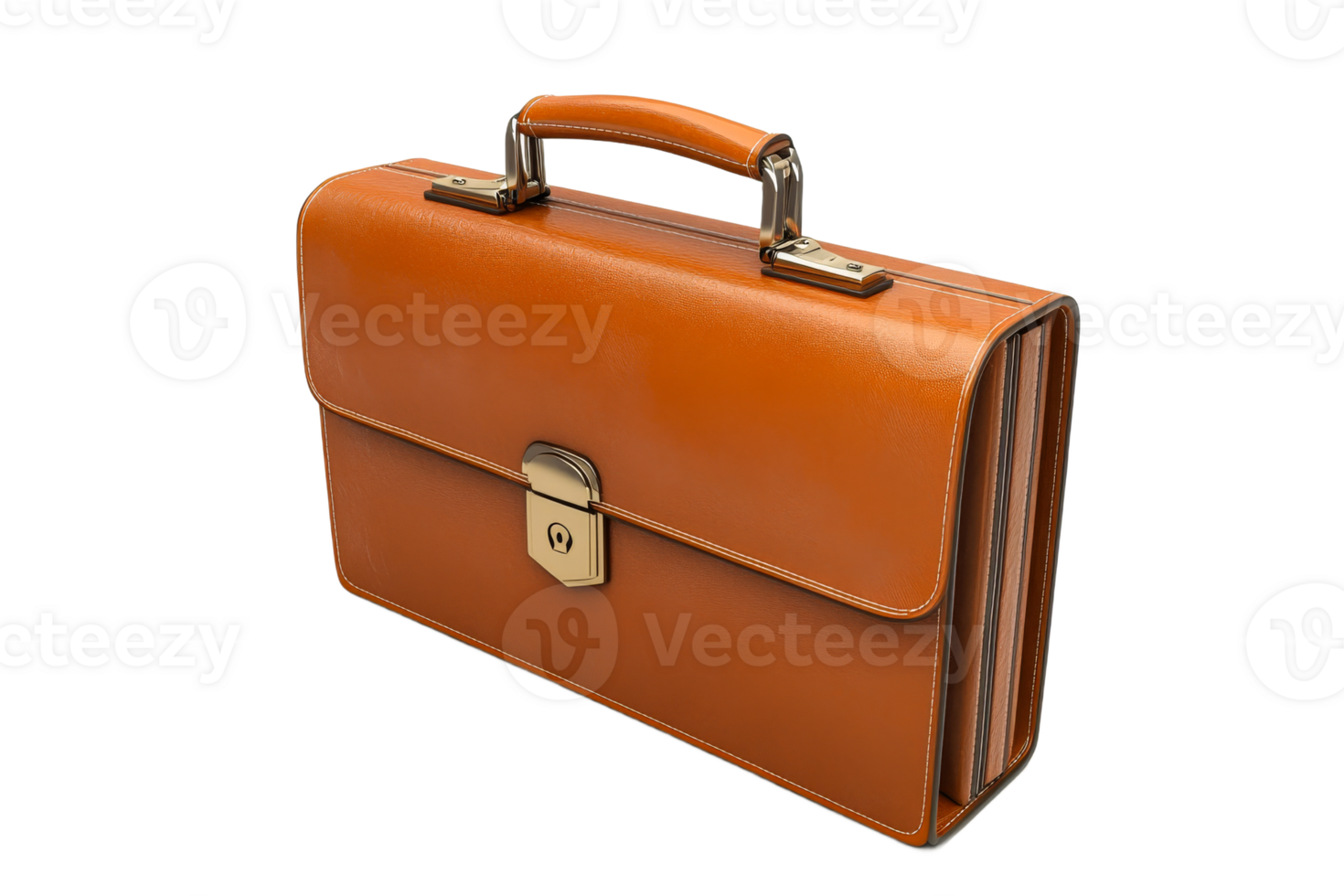 Leather briefcase for professionals png
