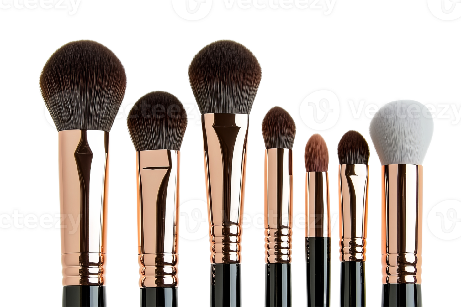 Essential makeup brushes for flawless application png