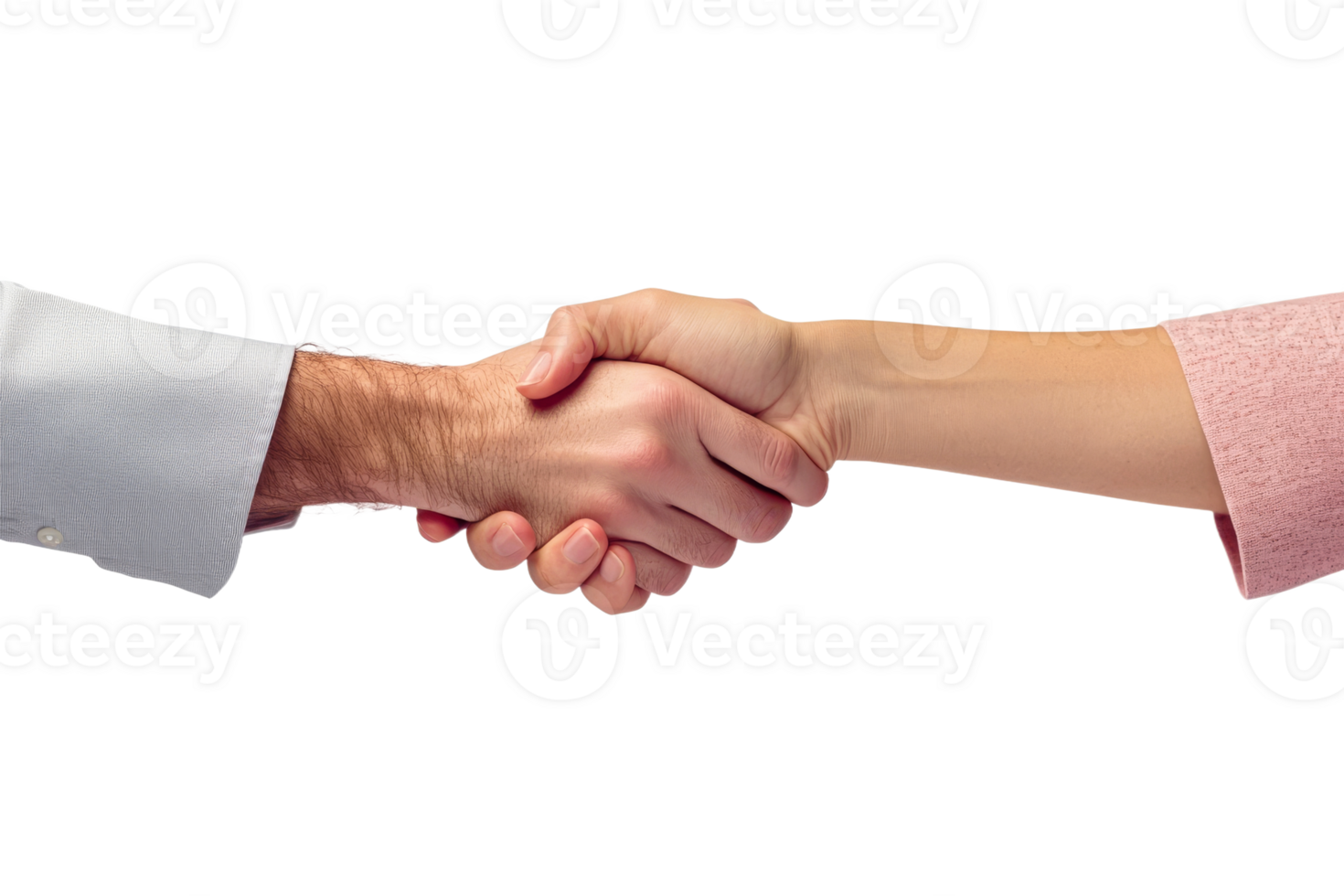 Hands meet in a firm handshake during a greeting png