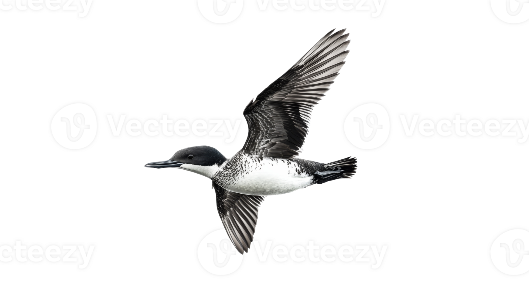 Brown bird flying on a white backdrop png