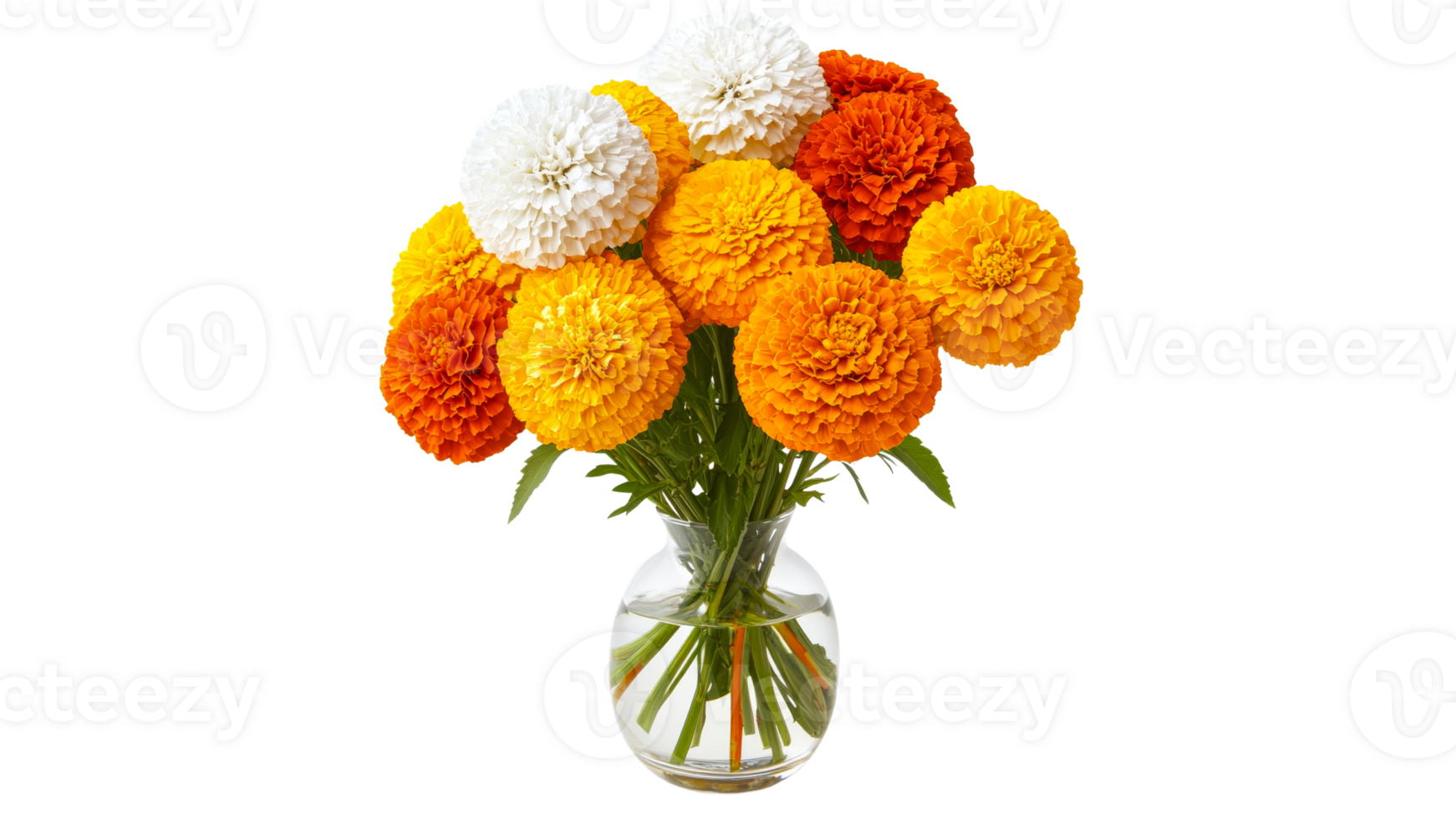 Colorful marigold bouquet brightening the room png