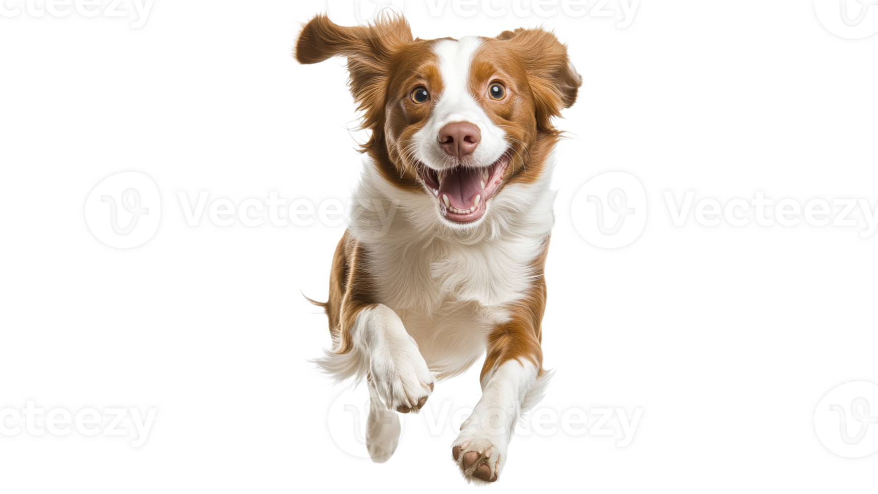 Joyful dog jumping in excitement indoors png
