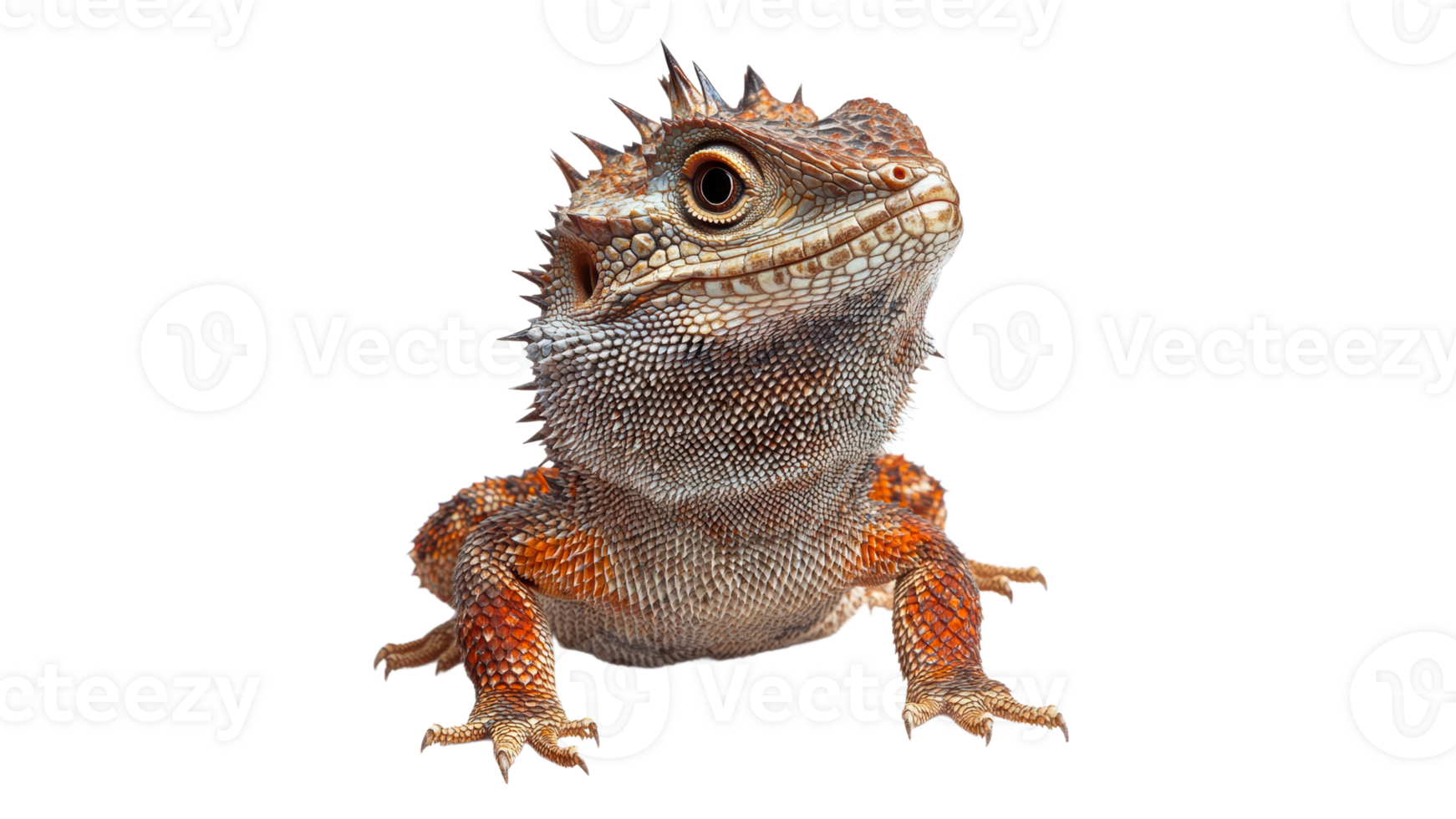 Unique bearded dragon posing in bright light png