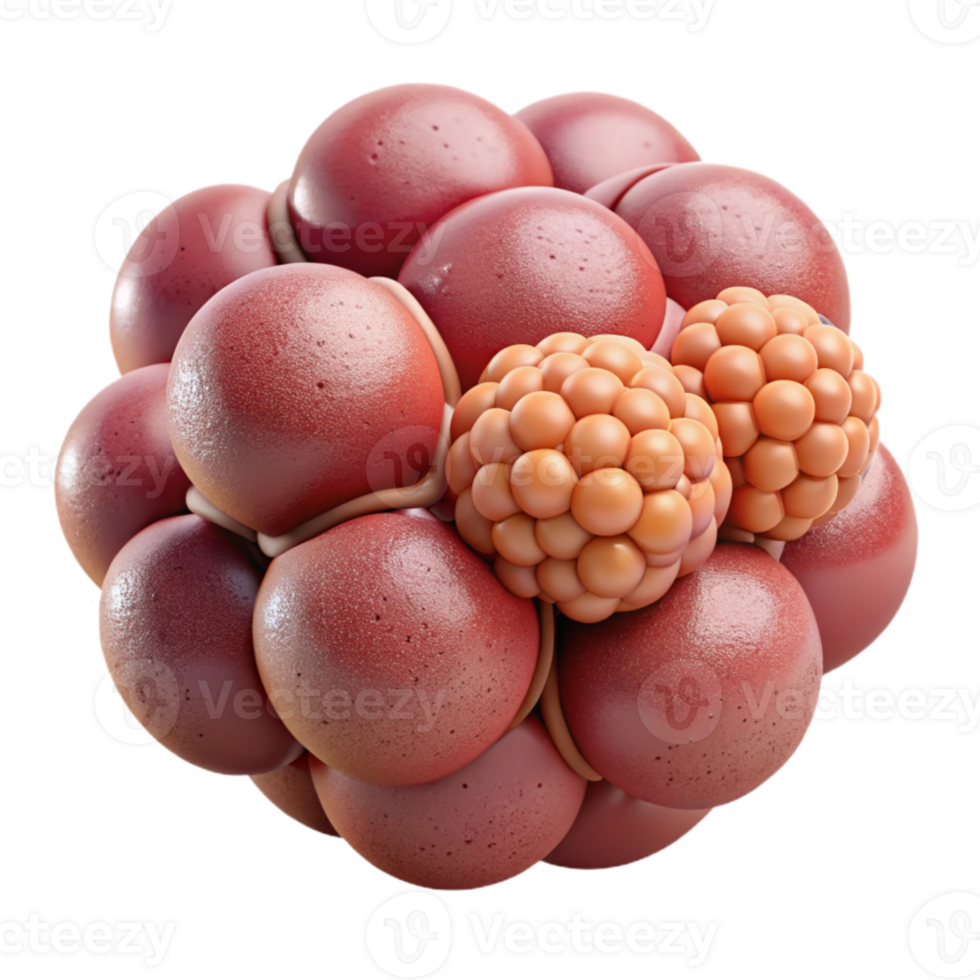 stunning artistic Lecithin Foam with Berries Isolated high resolution png