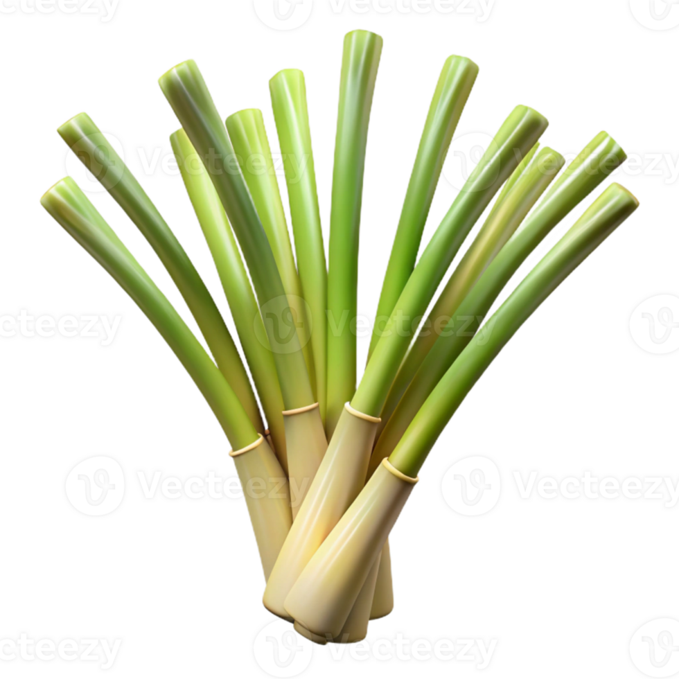 dramatic creative Lemongrass Stalks Isolated with Bright Lighting original png