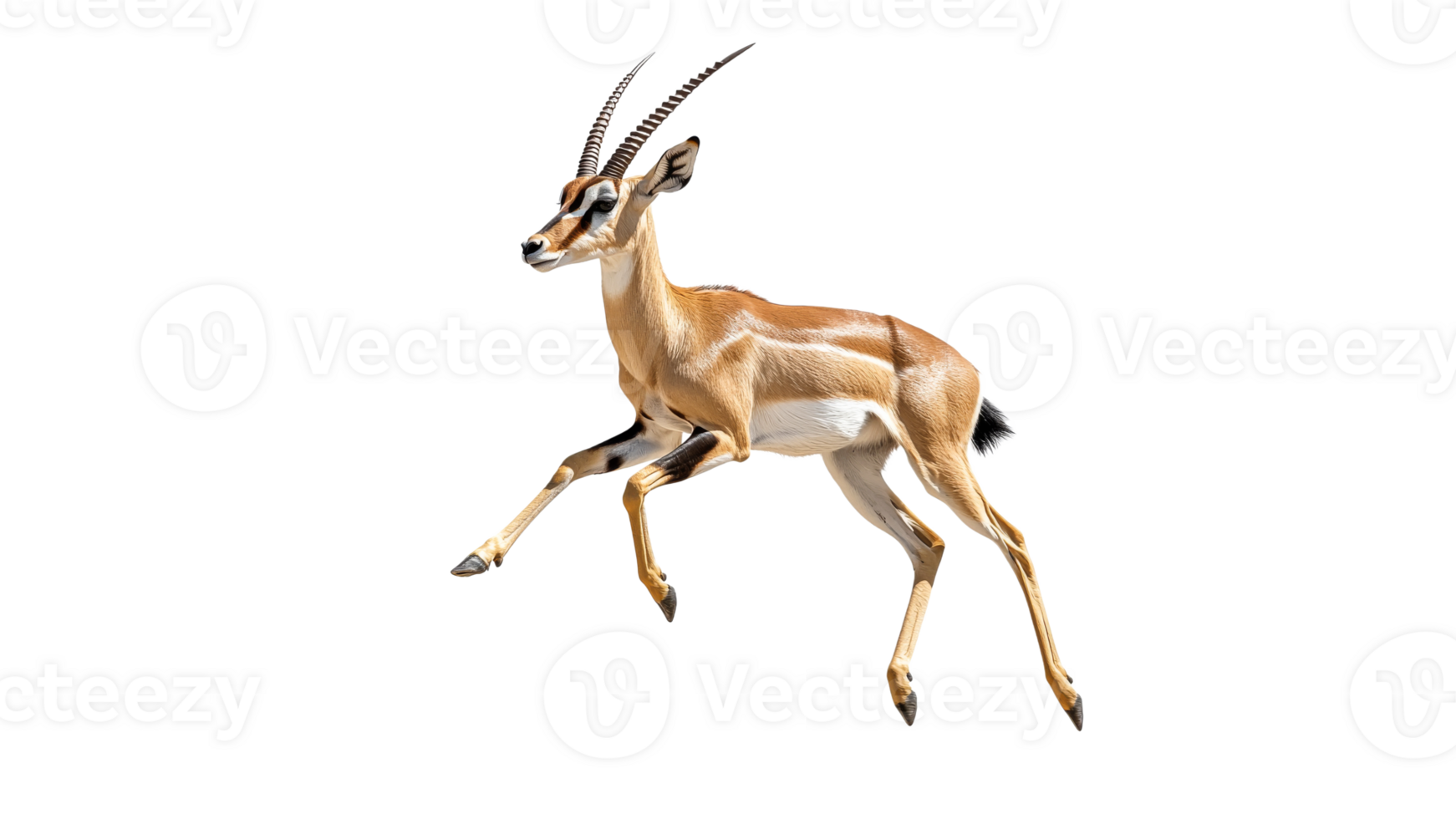 Antelope leaping across a white background png