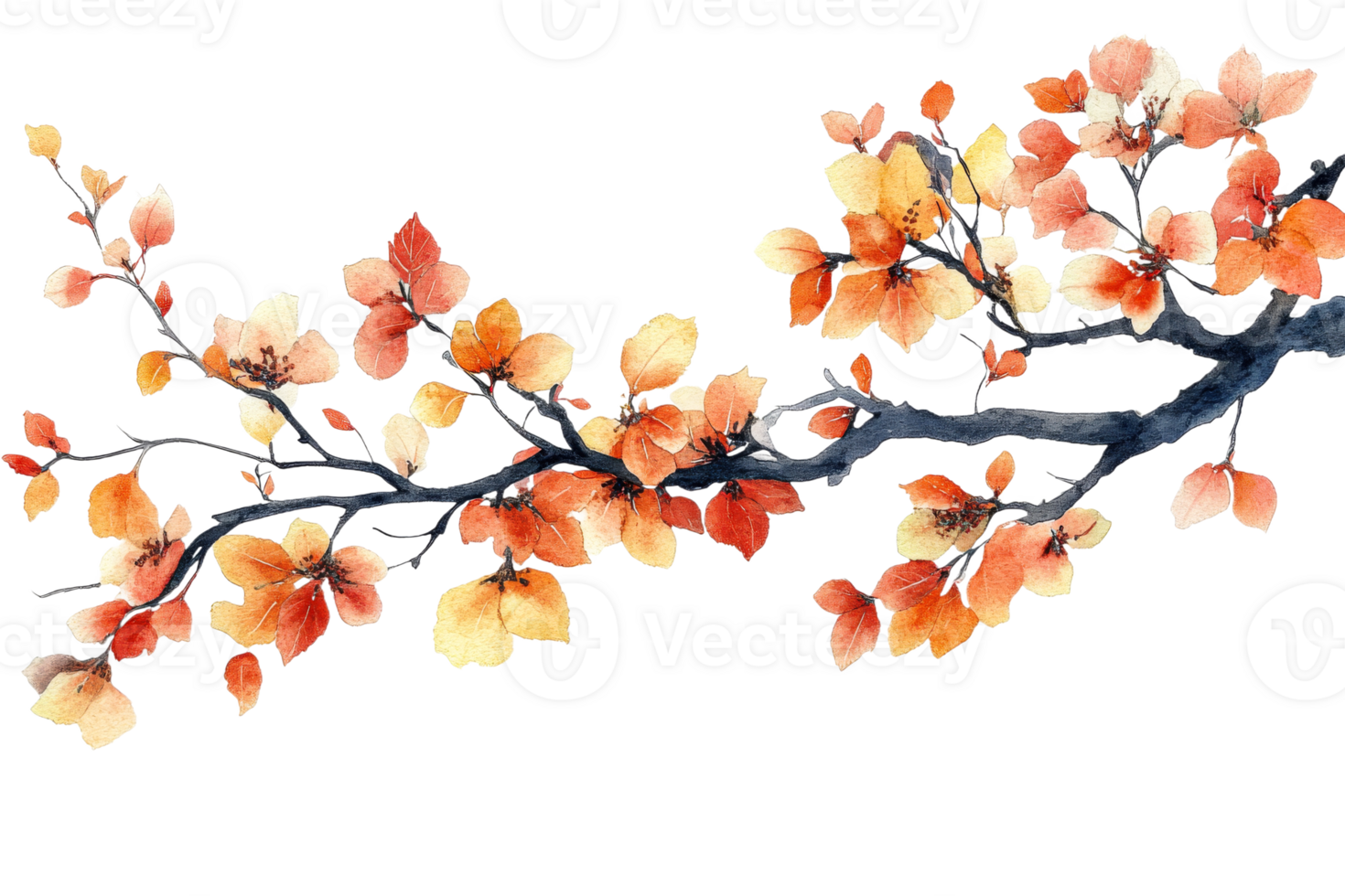 Autumn branches adorned with colorful leaves png