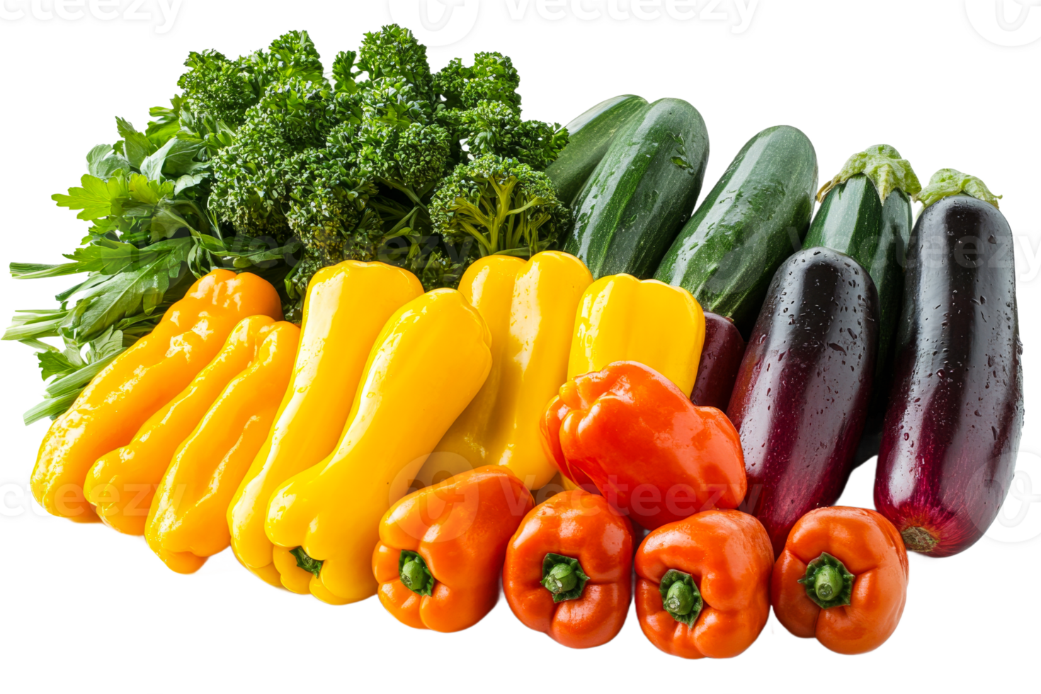 Colorful rows of fresh vegetables png