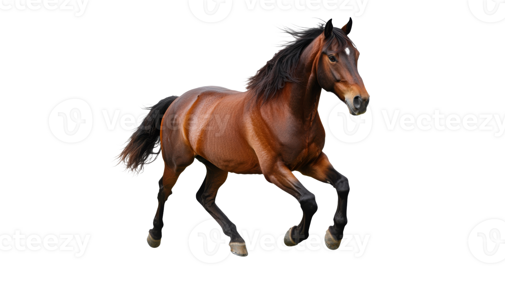 Horse galloping in open field during daylight png