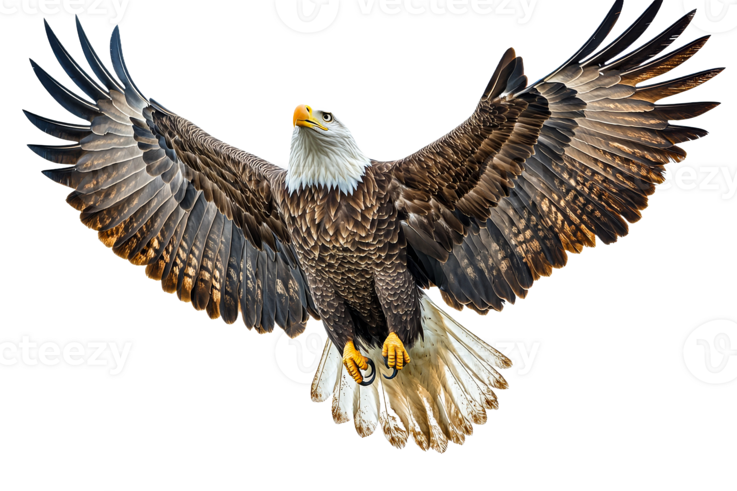 Majestic bald eagle soaring in clear blue sky png