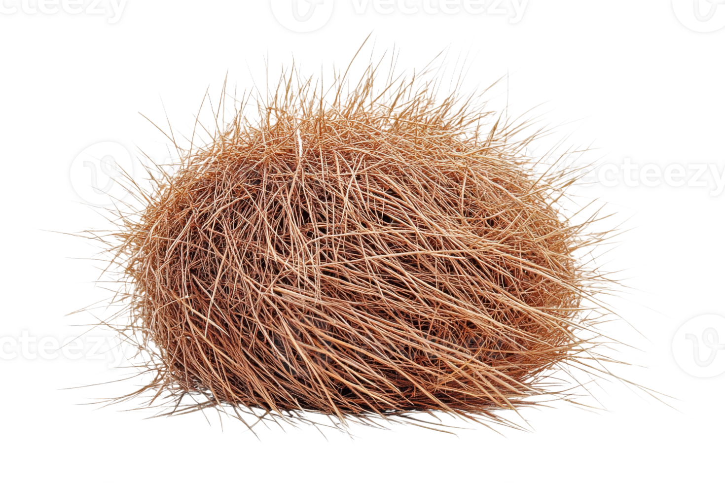 Natural formation of dry grass in spherical shape png