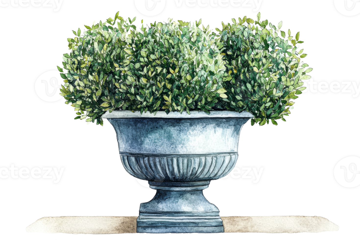 Decorative pot with lush green topiary plants png