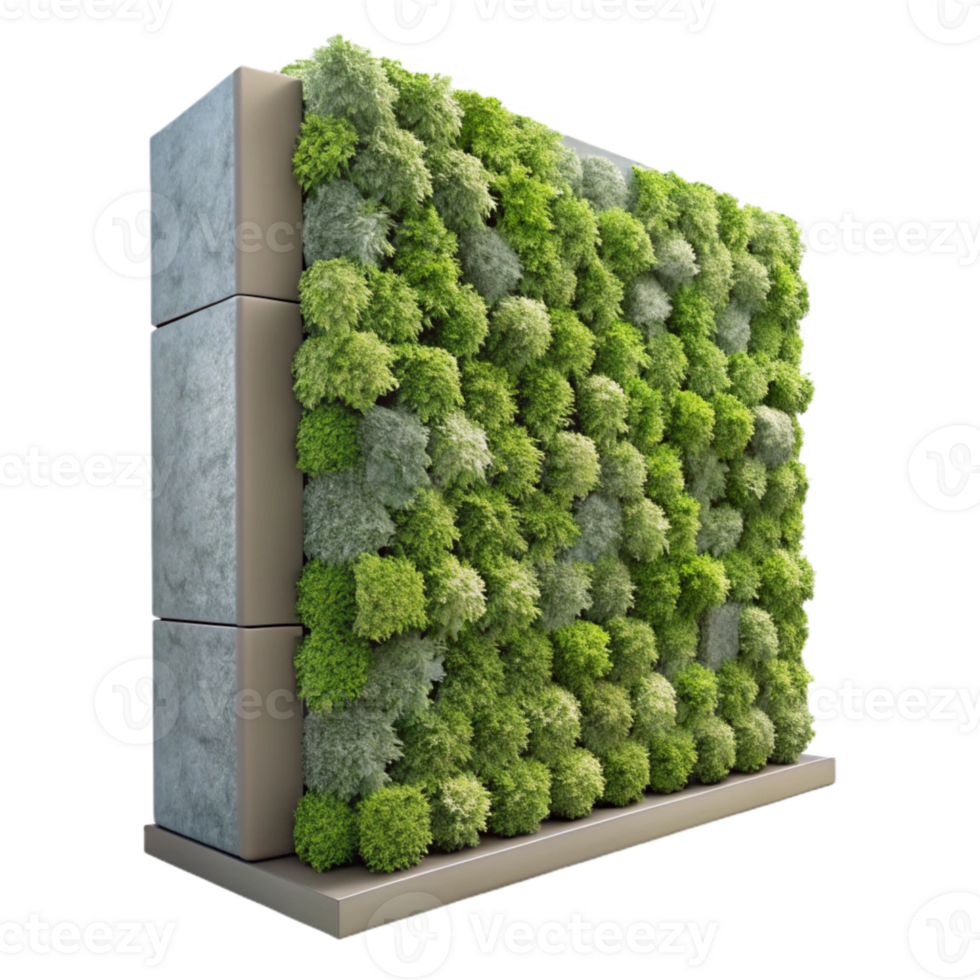beautiful minimalist Living Wall Detail Close Up Transparent Background authentic png