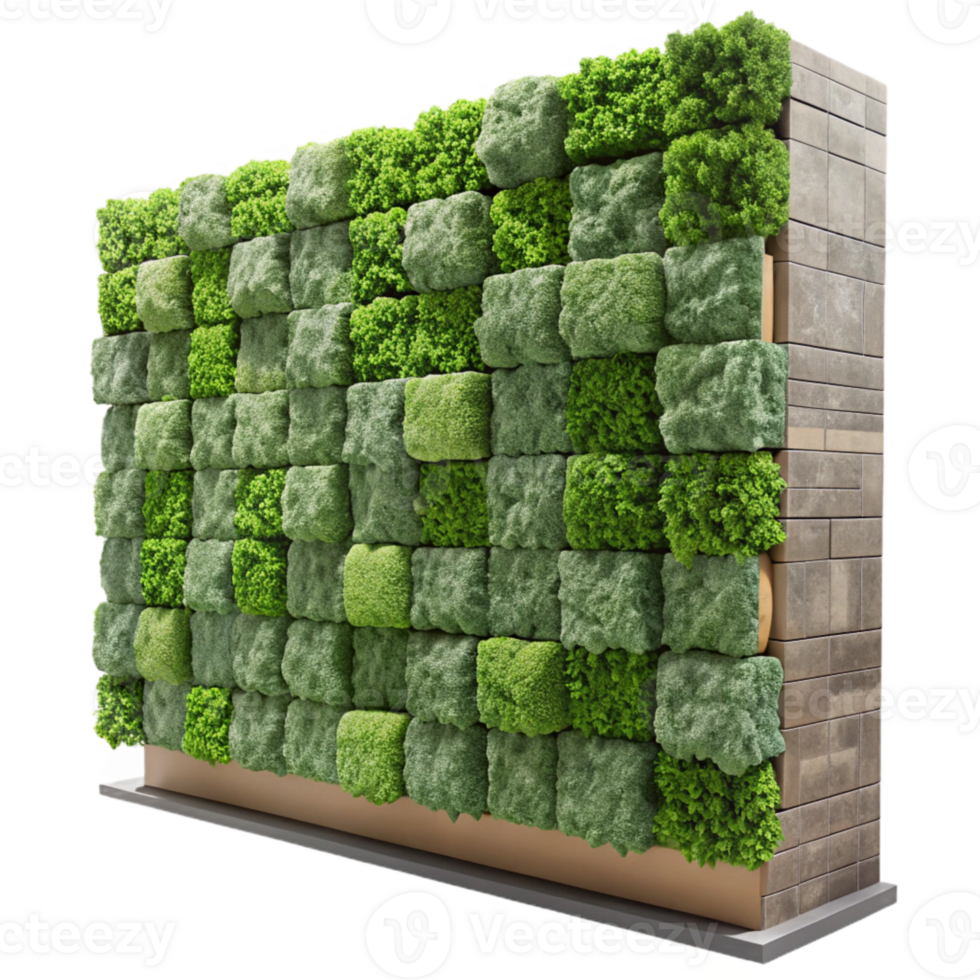stunning vintage Living Wall Natural Texture Cutout original png