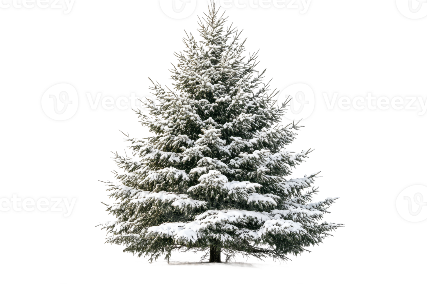 Snow covered evergreen tree in winter landscape png