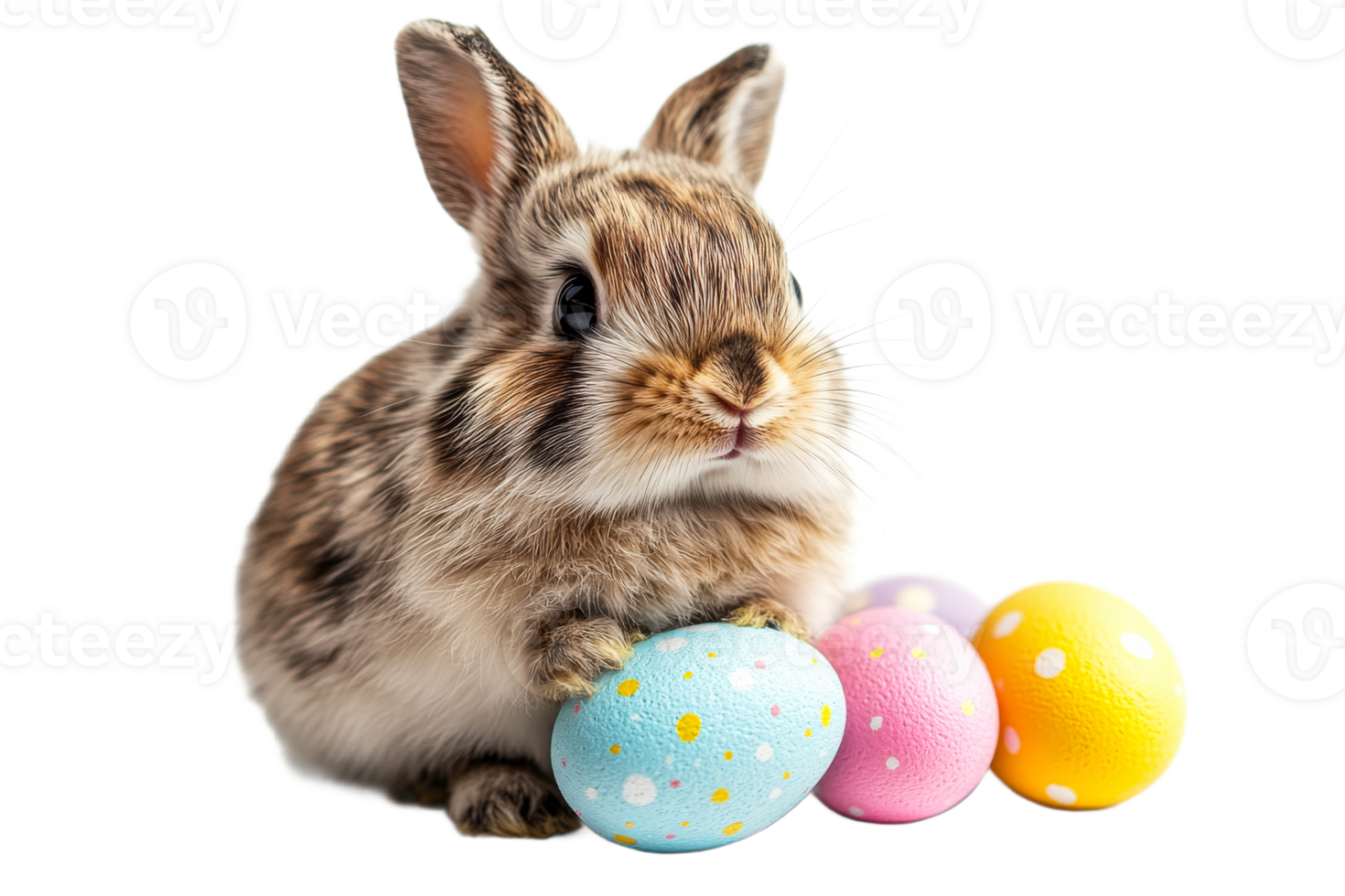 Cute rabbit with colorful eggs for spring celebration png