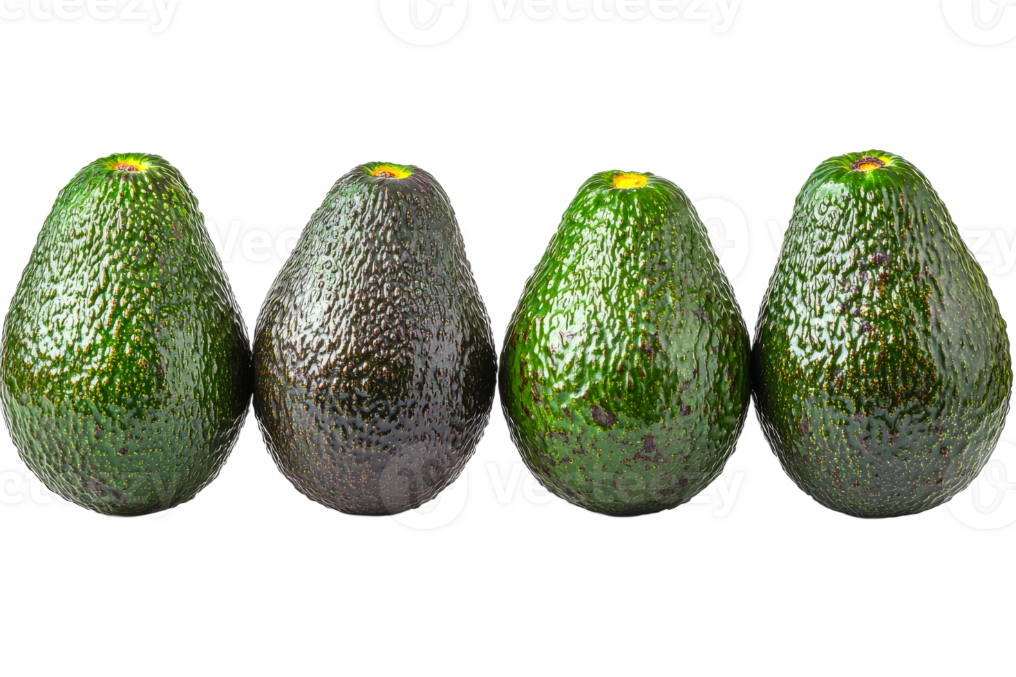 Fresh avocados arranged neatly on a transparent background png